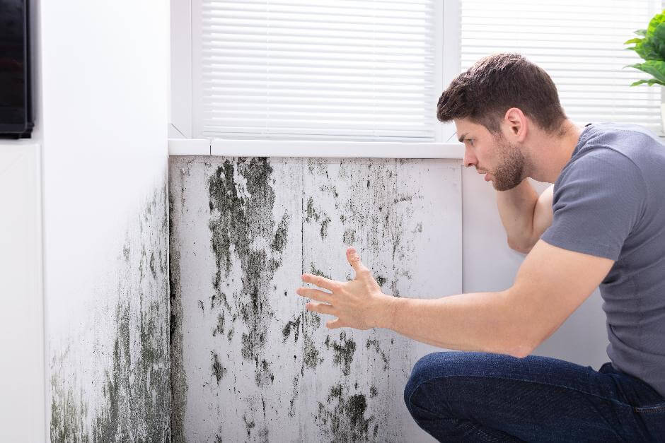 Junger Mann betrachtet entsetzt die großflächige Schimmelbild an einer feuchten Außenwand