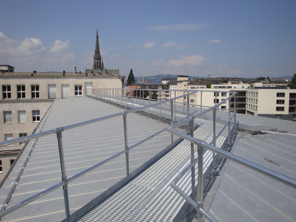 Dachbegehung für Falzdach